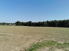 Działka budowlana Pszczyna - 11