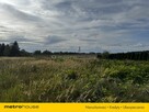 Działka Czernin - 6