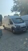 Peugeot boxer - 3