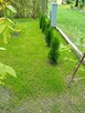 Sprzedam działkę ogrodową - 6