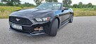 Ford Mustang kabriolet - 11