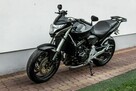 Honda Hornet CB 600 F ABS 2012 Raty Transport NAJWIĘKSZY WYBÓR MOTOCYKLI W Polsce - 7