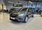 Opel Grandland X Salon Pl 1wł bezwypadkowy FV 23% Rok Gwrancji - 1