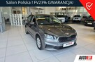 Škoda Fabia Salon PL, 1wł, Full ASO, Rok Gwarancji, Dealer Skody FV