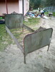 Gęsi białe domowe - 7