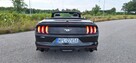 Ford Mustang kabriolet - 12
