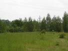 OKAZJA sprzedam działkę inwestycyjna - Wiewiorczyn - 2
