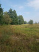 Sprzedam łąkę - 4