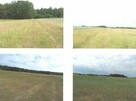 Syndyk sprzeda działkę rolną za 60% ceny - 2