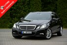 Mercedes E 350 (292KM)Avantgarde Skóry Navi Xenon Ledy Asystent pasa Szyber ASO - 1