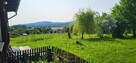 Działka 1,66 ha i zabudowania, MU(40a) plus rola )Bochnia, Łapanów, Zbydniów - 3