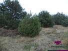 Działka usługowa Żelków-Kolonia gm. Siedlce - 5