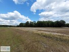 Działka rekreacyjna Kluczewsko Stanowiska - 5