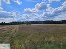 Działka rekreacyjna Kluczewsko Stanowiska - 8