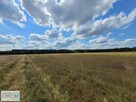 Działka rekreacyjna Kluczewsko Stanowiska - 10