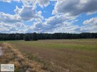 Działka rekreacyjna Kluczewsko Stanowiska - 11
