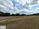 Działka rekreacyjna Kluczewsko Stanowiska - 13