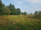 Sprzedam łąkę - 2