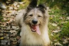 Amor już 5 lat za kratami... - 6