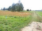 Sprzedam działkę - 3