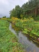 Działka z rozpoczętą budową - las , spokojna okolica Oksa - 2