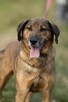 Bodzio do adopcji - 7