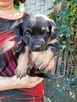 Bajeczka do adopcji - 7