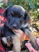 Bajeczka do adopcji - 6