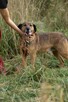 Bodzio do adopcji - 5