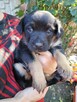 Bajeczka do adopcji - 3