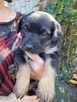Bajeczka do adopcji - 5