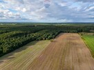 Działka rolna Jędrzejewo - 2
