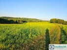 Działka rolna Lutcza gm. Niebylec, - 11