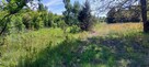 Sprzedam działki rolne zabudowane w Kołbieli pod Warszawą - 10