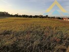 Działka rolna z potencjałem 2986 m2 , 79 tys.! - 11