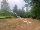 Mulczowanie w Chrzanów. Tel. 575-747-470 Karczowanie działek - 11