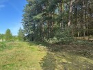Działka na sprzedaż Zielona Góra Racula - 3