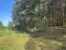Działka na sprzedaż Zielona Góra Racula - 12