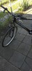 Sprzedam Rower Cruez sus G ,28 - 3