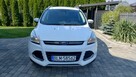 Ford Kuga 4x4 Titanium bezwypadkowy diesel - 3