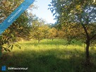 Wyjątkowa działka w sercu natury – Albigowa, 77 arów ciszy i przestrzeni - 4