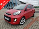 Kia Picanto 1,2 Benzyna Nawigacja Kamera Klimatronik Zarejestrowany Gwarancja