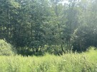 Działka dla dewelopera Koźmice Wielkie 1,12ha - 3