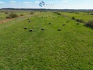 Działka rolna Tyrowo gm. Ostróda - 11