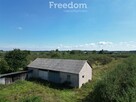 Sprzedam siedlisko z sadem – 8600 m² – Głodno - 2