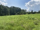 Działka rolno-budowlana Koźmice Wielkie gm. Wieliczka - 8