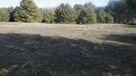 Działka budowlana Janiszów gm. Trzebnica - 14