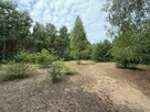 Urokliwa działka przy lesie - idealna pod zabudowę! - 5