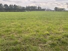 Działka budowlano-zagrodowa –Teodorów, gm. Skórzec - 3