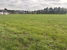 Działka budowlano-zagrodowa –Teodorów, gm. Skórzec - 4